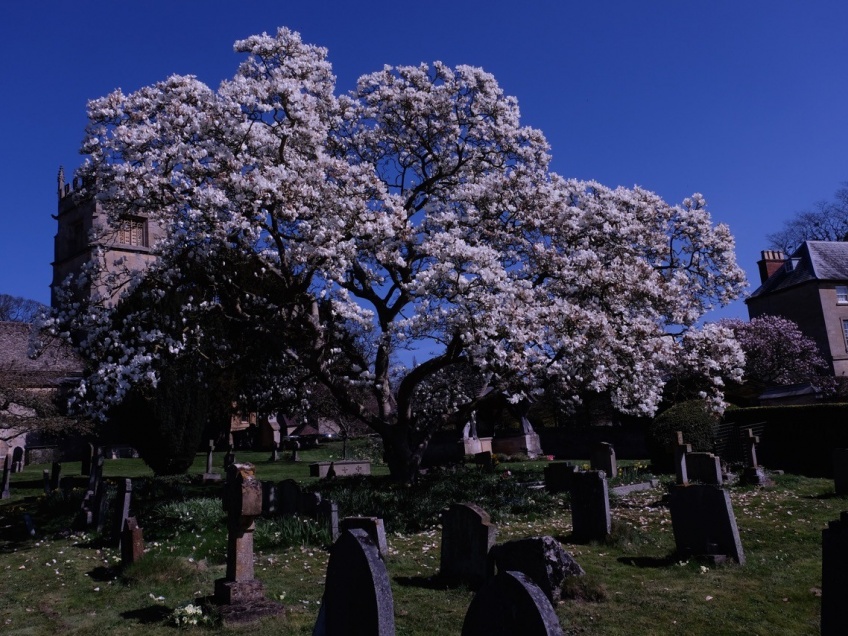 Overbury Village and Estate nr Tewkesbury -